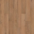 SolidTech R Select|Ashland Crest