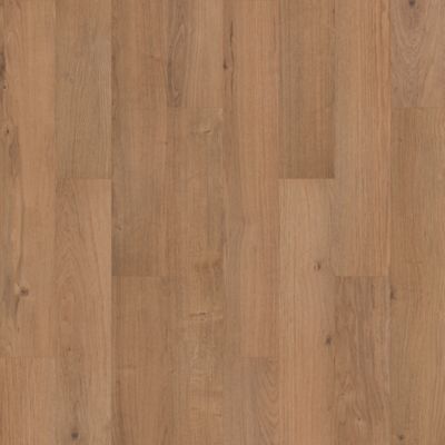 SolidTech R Select|Ashland Crest