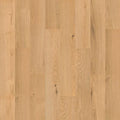 SolidTech R Select|Ashland Crest  Add to Favorites