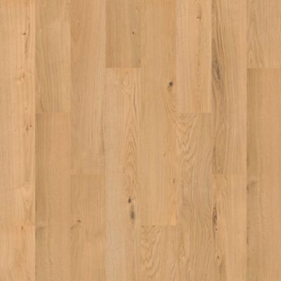 SolidTech R Select|Ashland Crest  Add to Favorites
