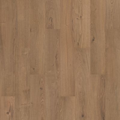 SolidTech R Select|Ashland Crest