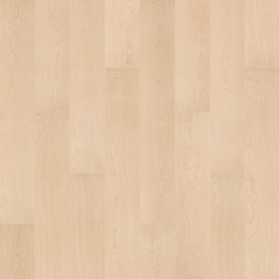 SolidTech R Plus|Oxford Manor