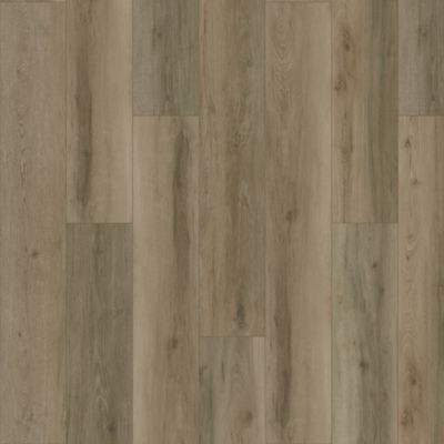 SolidTech Plus|Poppy Reserve