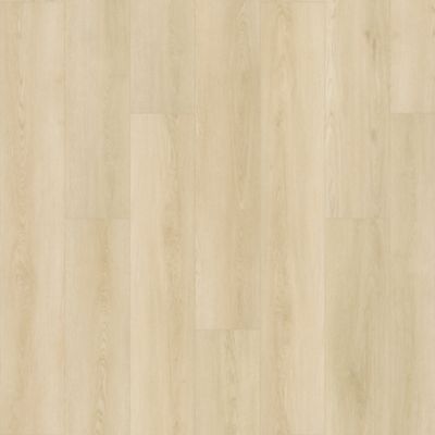 SolidTech Plus|Amber Escape