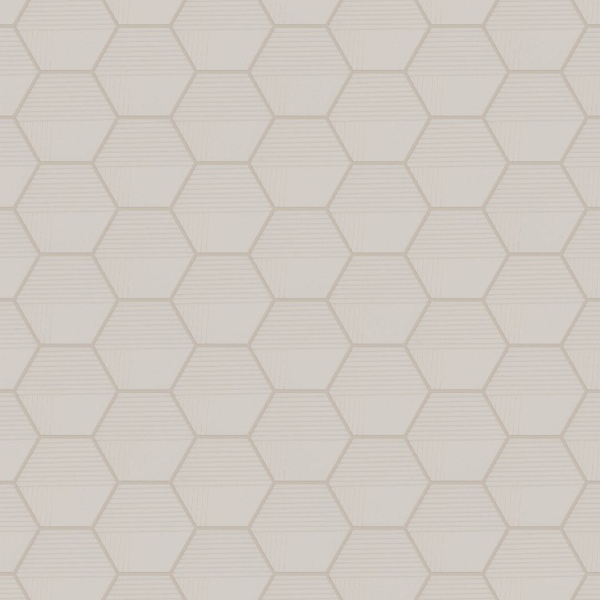 TETRA DESIGNER HEX1