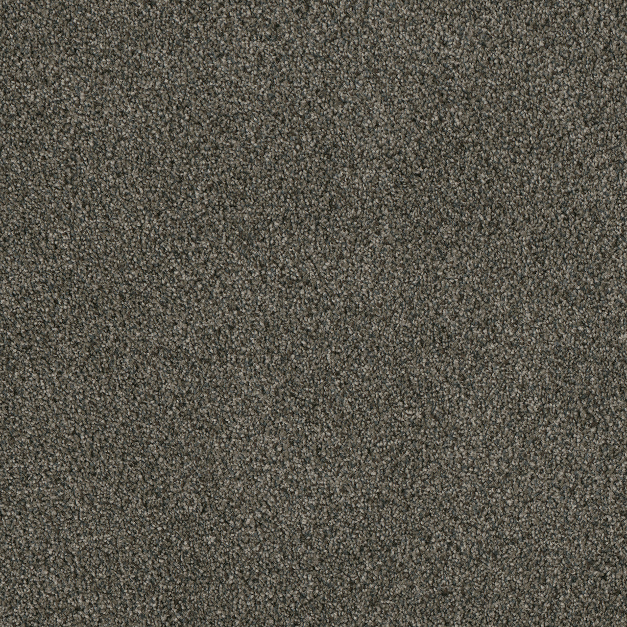 LUXOR II