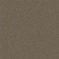 Trail Mix BC333 - 12 ft Broadloom