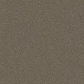 Trail Mix BC333 - 12 ft Broadloom