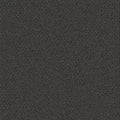 Trail Mix BC333 - 12 ft Broadloom