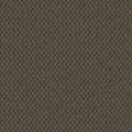 Doctor II 24 x 24 BT381 - 24 in x 24 in Carpet Tile