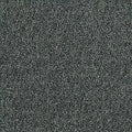 New Basics III BC398 - 12 ft Broadloom