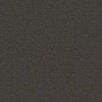 New Basics III BC398 - 12 ft Broadloom