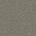 Creative Spark BT426 - 24 in x 24 in Carpet Tile