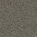 Creative Spark BT426 - 24 in x 24 in Carpet Tile