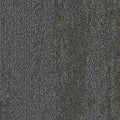 Shared Path BT429 - 12 in x 36 in Carpet Tile