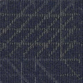 Angled Perception BT496 - 12 in x 36 in Carpet Tile