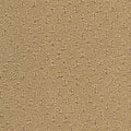 Hue-ology BC573 - 12 ft Broadloom