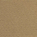 Hue-ology BC573 - 12 ft Broadloom