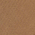 Hue-ology BC573 - 12 ft Broadloom