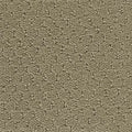 Hue-ology BC573 - 12 ft Broadloom