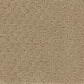 Hue-ology BC573 - 12 ft Broadloom