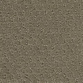 Hue-ology BC573 - 12 ft Broadloom