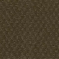 Hue-ology BC573 - 12 ft Broadloom