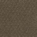 Hue-ology BC573 - 12 ft Broadloom