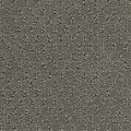 Hue-ology BC573 - 12 ft Broadloom