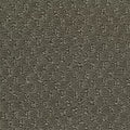Hue-ology BC573 - 12 ft Broadloom