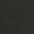 Hue-ology BC573 - 12 ft Broadloom