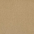 Color Study 36 BC575 - 12 ft Broadloom