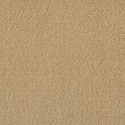 Color Study 36 BC575 - 12 ft Broadloom