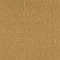 Color Study 36 BC575 - 12 ft Broadloom