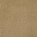 Color Study 36 BC575 - 12 ft Broadloom