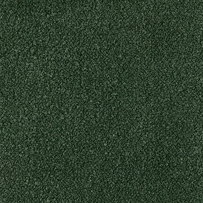 Color Study 36 BC575 - 12 ft Broadloom