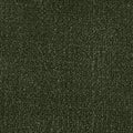 Color Study 36 BC575 - 12 ft Broadloom
