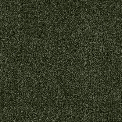 Color Study 36 BC575 - 12 ft Broadloom