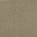 Color Study 36 BC575 - 12 ft Broadloom