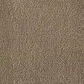 Color Study 36 BC575 - 12 ft Broadloom