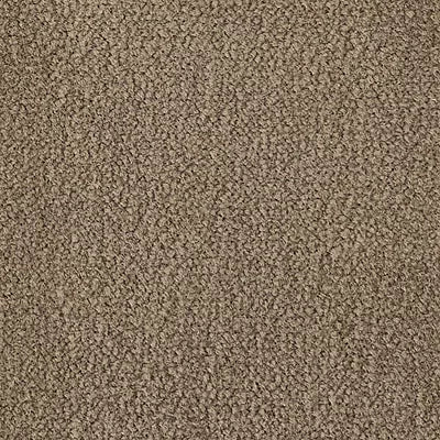 Color Study 36 BC575 - 12 ft Broadloom