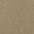 Color Study 36 BC575 - 12 ft Broadloom