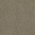 Color Study 36 BC575 - 12 ft Broadloom