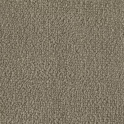 Color Study 36 BC575 - 12 ft Broadloom