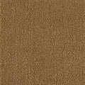 Color Study 36 BC575 - 12 ft Broadloom