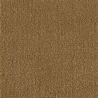 Color Study 36 BC575 - 12 ft Broadloom