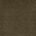 Color Study 36 BC575 - 12 ft Broadloom