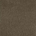 Color Study 36 BC575 - 12 ft Broadloom
