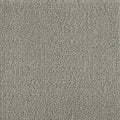 Color Study 36 BC575 - 12 ft Broadloom