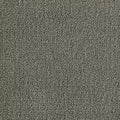 Color Study 36 BC575 - 12 ft Broadloom